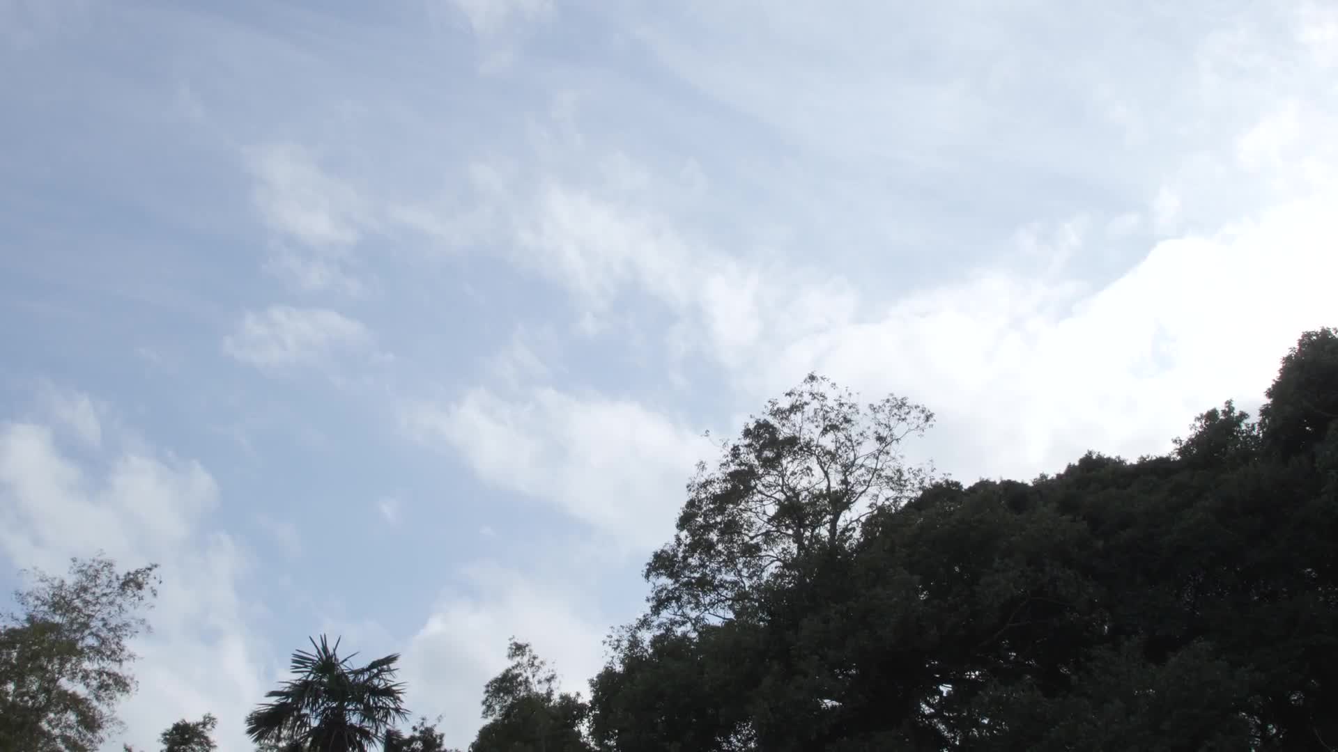 在陰暗的房間裡，被縛起來訓練的女高中生-為了繼承祖父的料理店而拜師的純樸少女。沉迷於被稱為修行的變態嗜好中…碓氷夏目 - AV大平台 - 中文字幕，成人影片，AV，國產，線上看